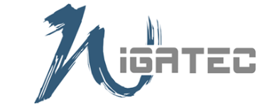 	IGATEC